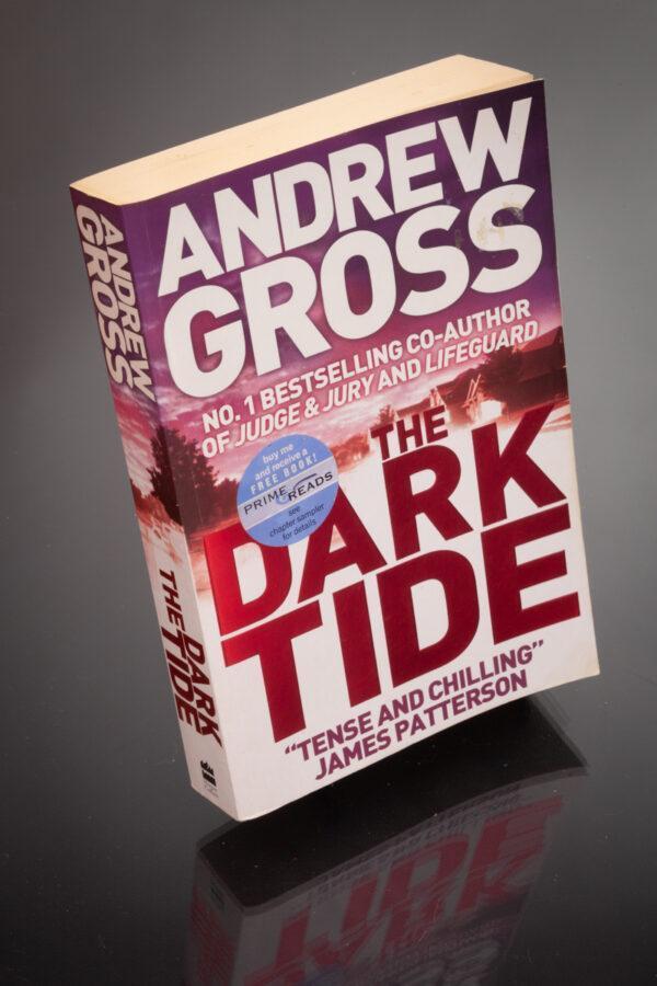 Andrew Gross - The Dark Side