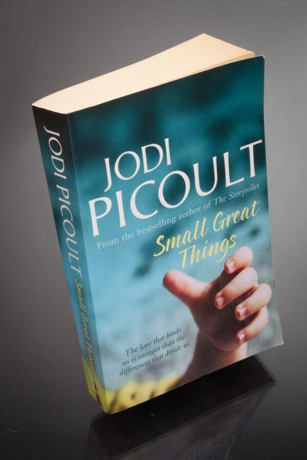 Jodi Picoult - Small Things Great